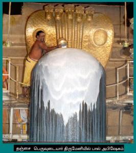 Bathing Shiva Linga with Milk.jpg.